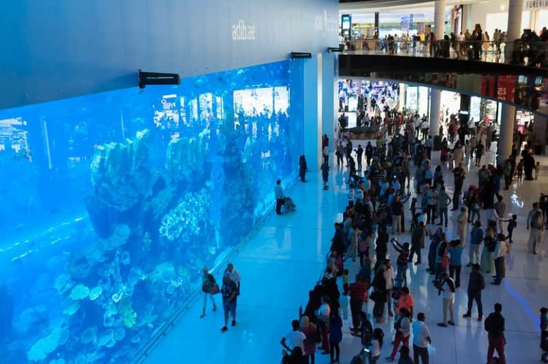 Dubai Aquarium, Dubai - A Top Tourist Destination