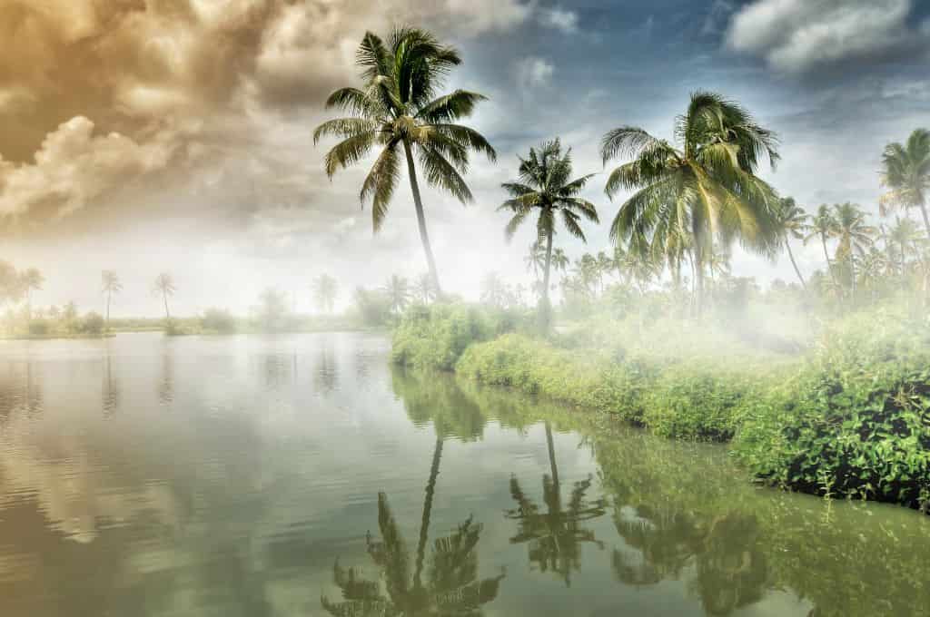 Kerala Itinerary - 7 Days