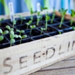 13 Essential Gardening Skills for Everyone