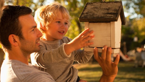 Create a Wildlife Refuge in Your Backyard for Less than $40