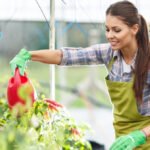 Top 10 Most Valuable Plants for Your Spring Garden