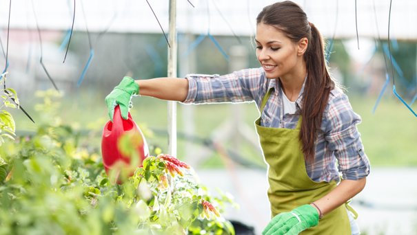 Top 10 Most Valuable Plants for Your Spring Garden