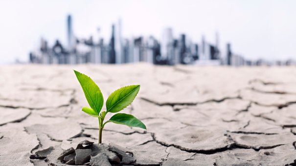 6 Ways Climate Change Could Impact Your Finances