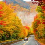 6 Stunning Fall Color Drives for This Year