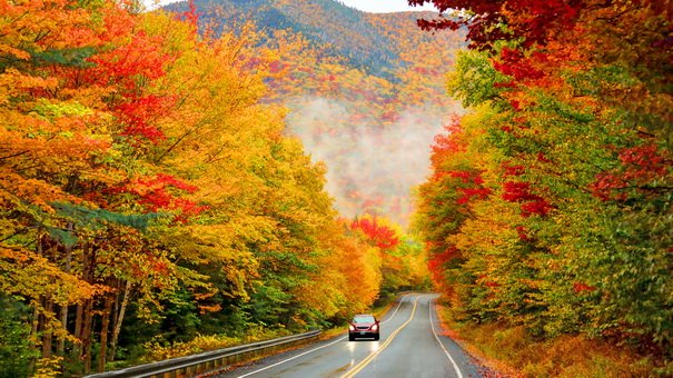 6 Stunning Fall Color Drives for This Year