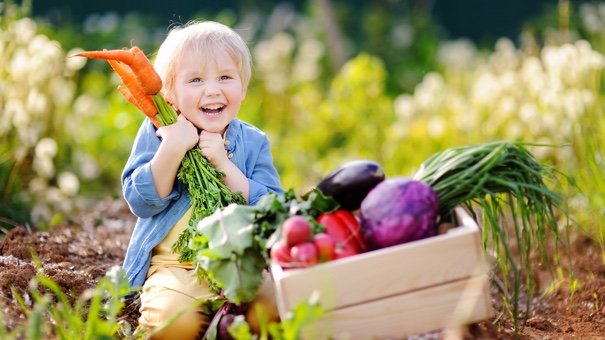 Do You Grow a Vegetable Garden?