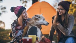 Finding Free Campsites in the U.S.