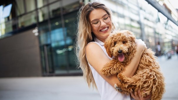 Evaluating the Value of Pet Insurance