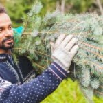 7 Creative Ways to Repurpose Your Old Christmas Tree