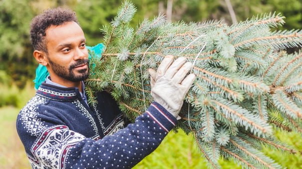 7 Creative Ways to Repurpose Your Old Christmas Tree
